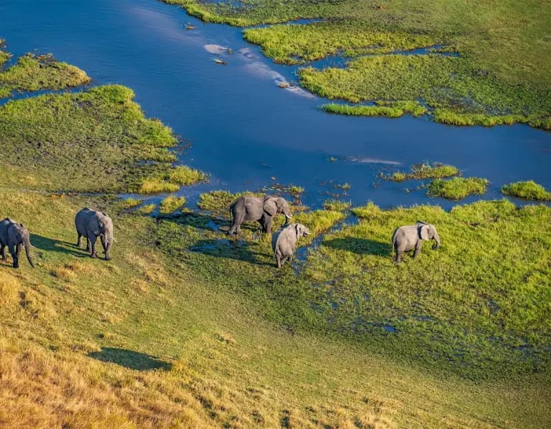 Ruaha