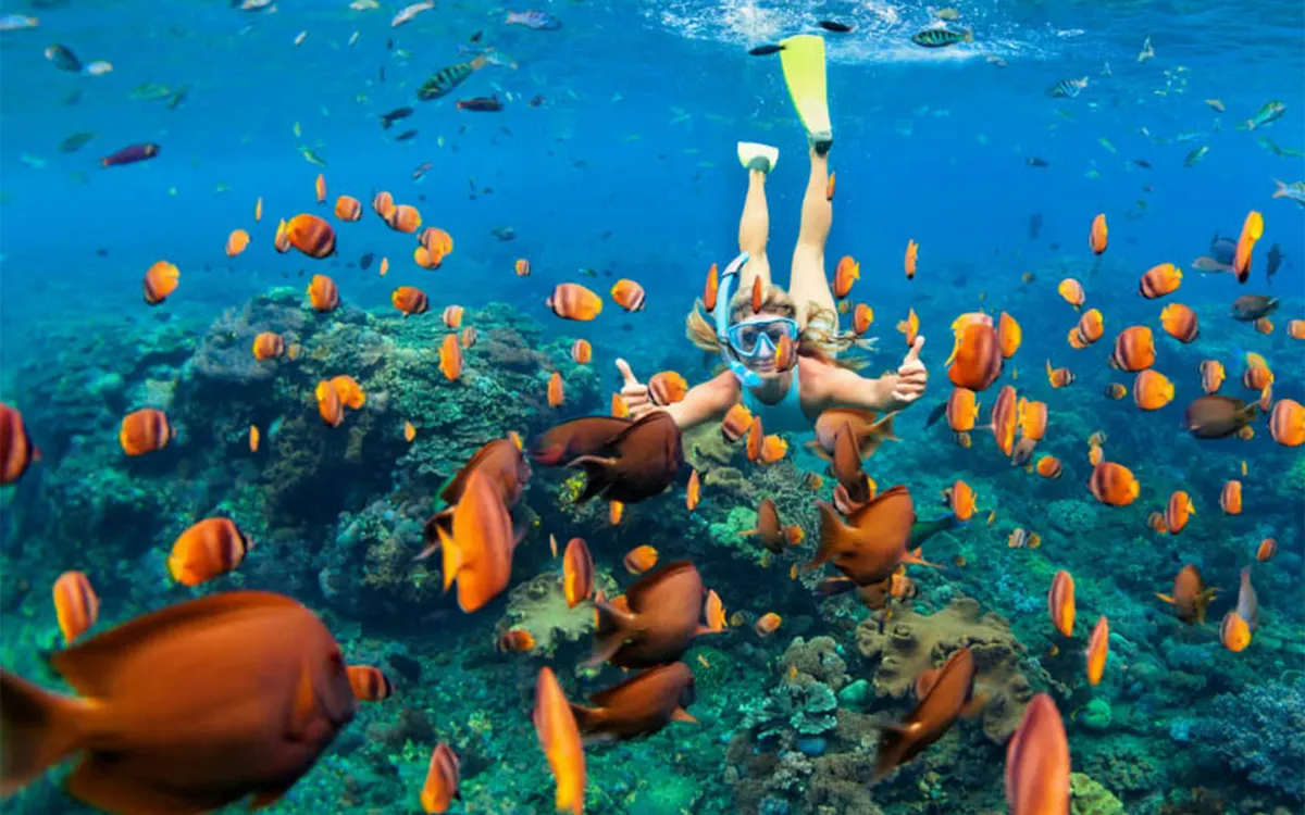 Zanzibar Reef Diving