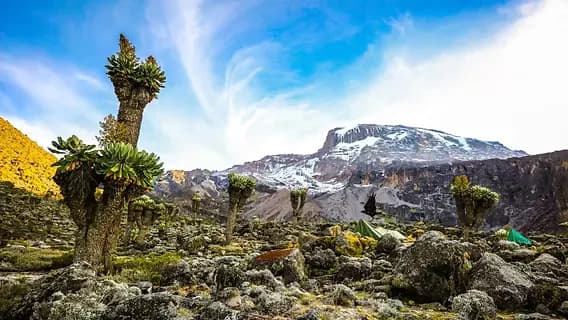 The Roof of Africa